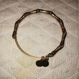 Alex and Ani Bracelet